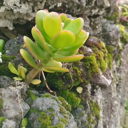 Casa de Férias Sea U *
