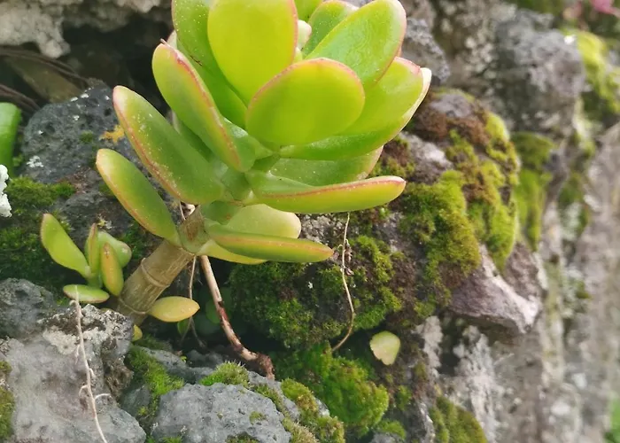 Casa de Férias Sea U *